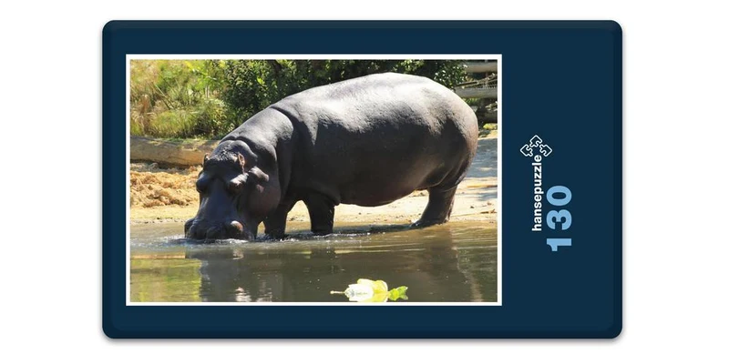 18302 Natur - Nilpferd Puzzle