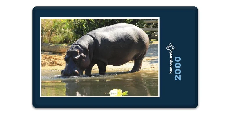 18302 Natur - Nilpferd Puzzle