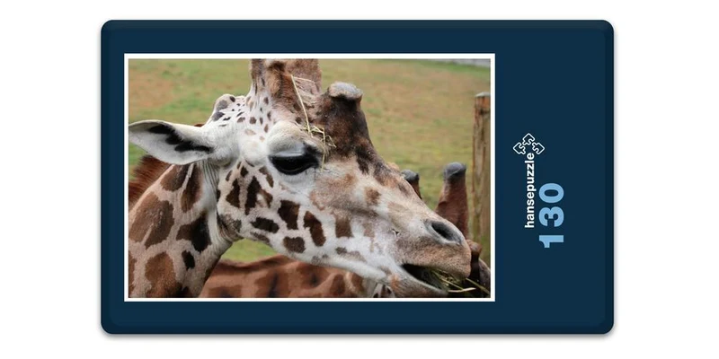 18301 Natur - Giraffe Puzzle