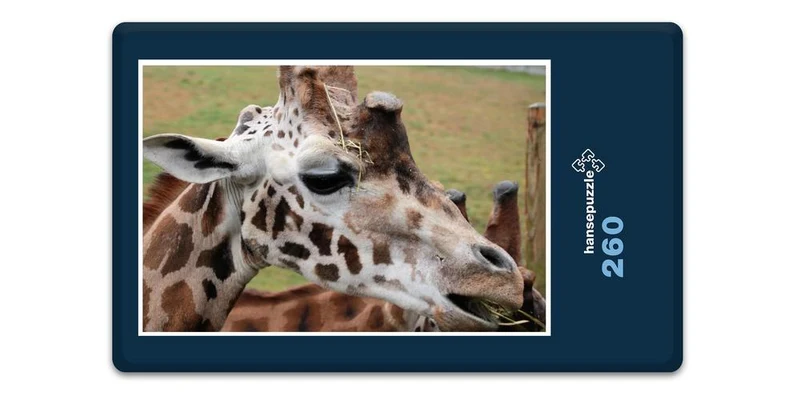 18301 Natur - Giraffe Puzzle
