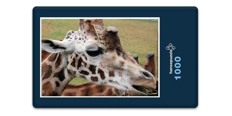 18301 Natur - Giraffe Puzzle