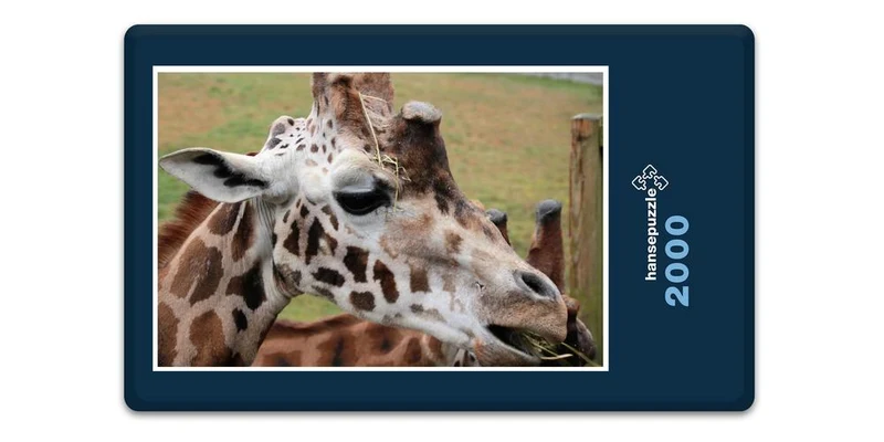 18301 Natur - Giraffe Puzzle