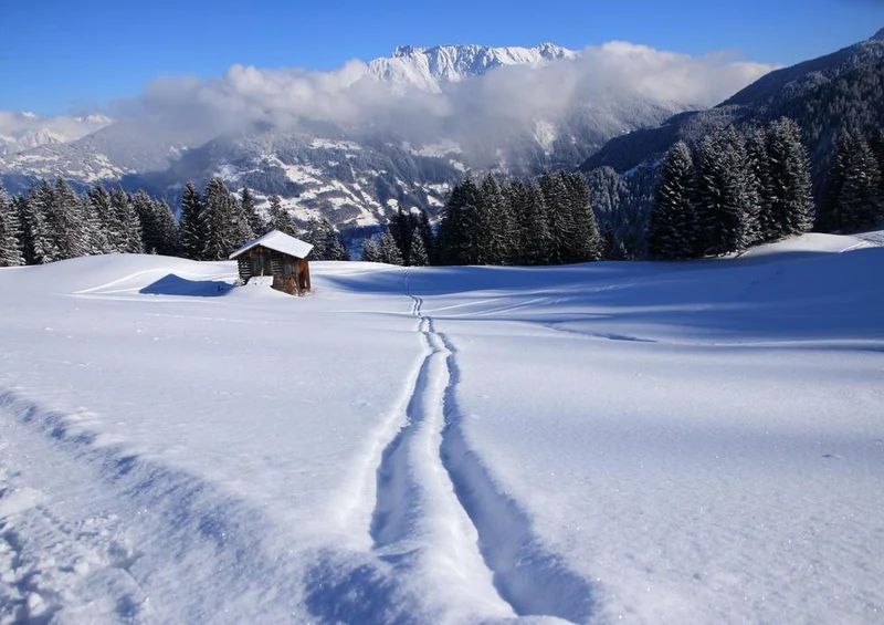 31239 Natur - Vorarlberg Puzzle