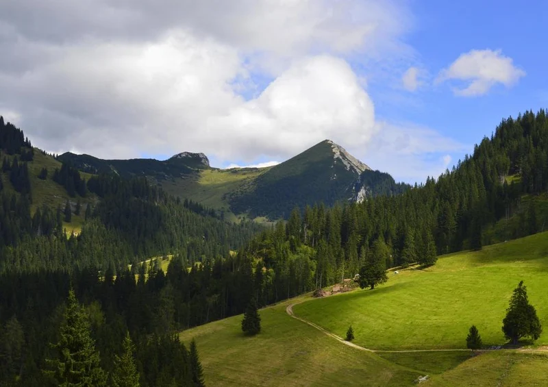 31234 Natur - Berglandschaft Puzzle