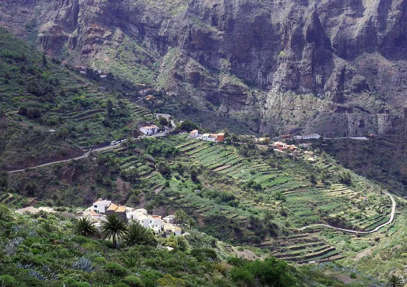 20633 Natur - Teneriffa Puzzle