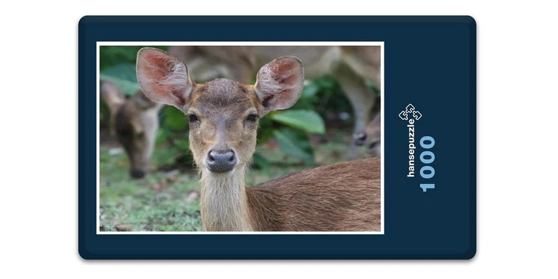 18355 Natur - Hirsch Puzzle