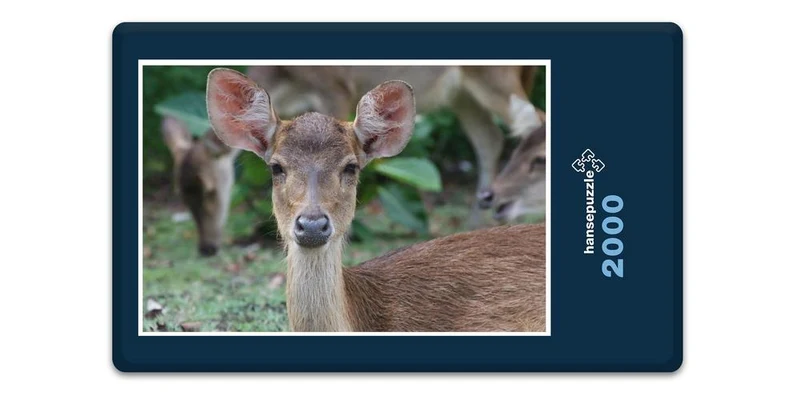 18355 Natur - Hirsch Puzzle