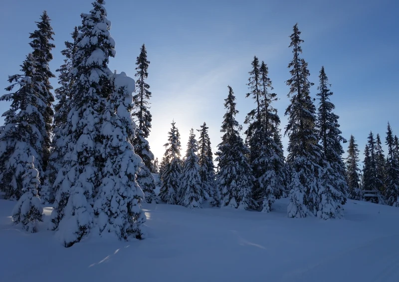 44359 Natur - Winter Puzzle