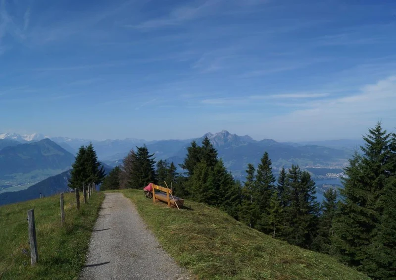 31341 Natur - Zentralschweiz Puzzle