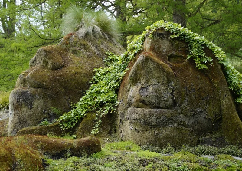 44723 Natur - Wald Puzzle