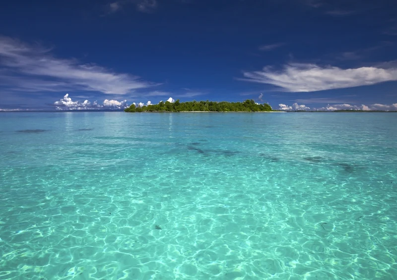 44717 Natur - Insel Puzzle