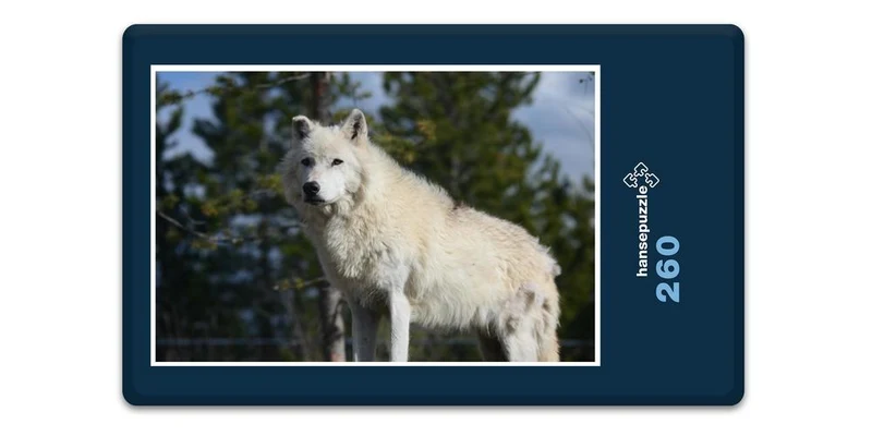 19830 Tierwelt - Wolf Puzzle