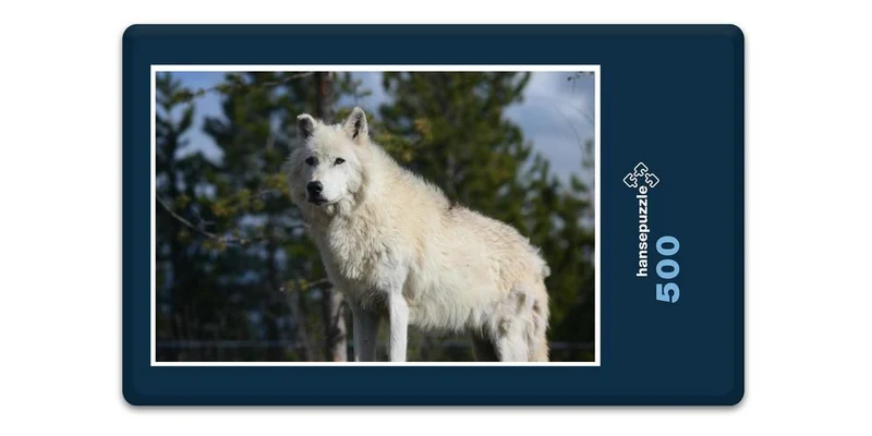 19830 Tierwelt - Wolf Puzzle