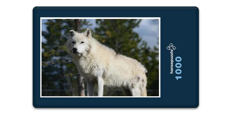 19830 Tierwelt - Wolf Puzzle