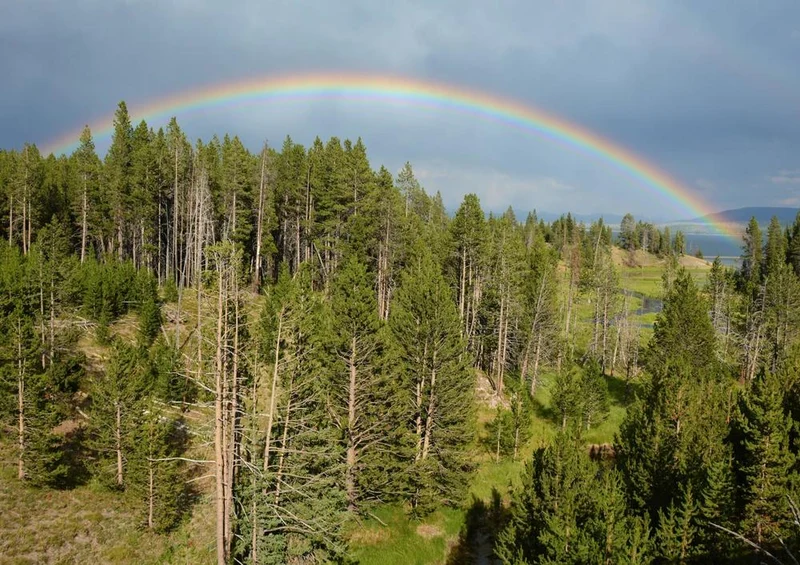 19825 Natur - Regenbogen Puzzle