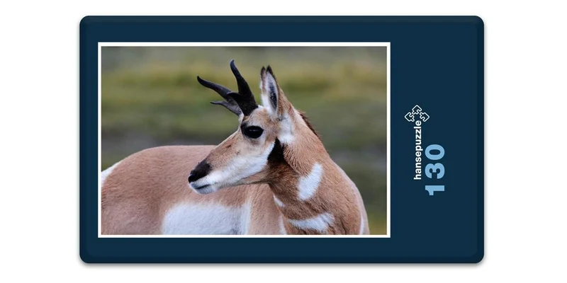 19820 Tierwelt - Antilope Puzzle