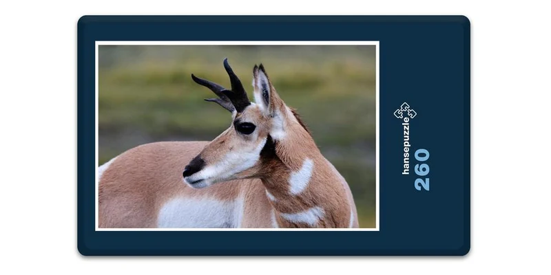 19820 Tierwelt - Antilope Puzzle