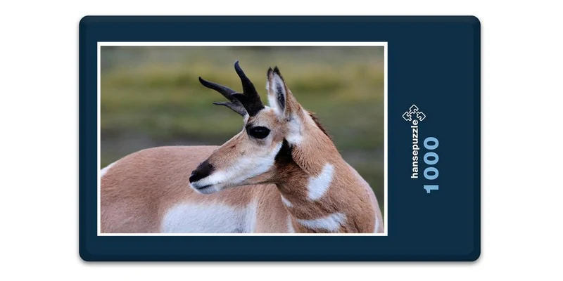 19820 Tierwelt - Antilope Puzzle