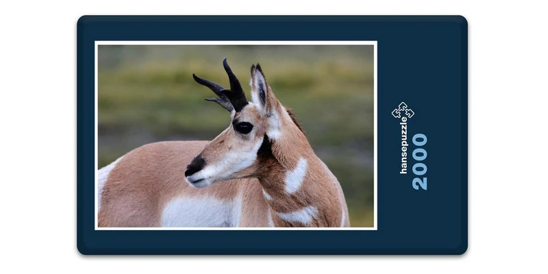 19820 Tierwelt - Antilope Puzzle