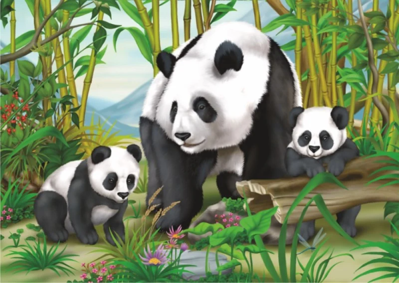 Panda