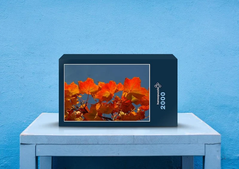 44260 Natur - Herbstfärbung Puzzle