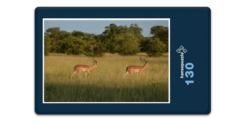 18298 Natur - Impala Puzzle