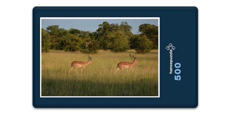 18298 Natur - Impala Puzzle