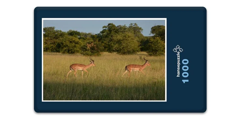 18298 Natur - Impala Puzzle