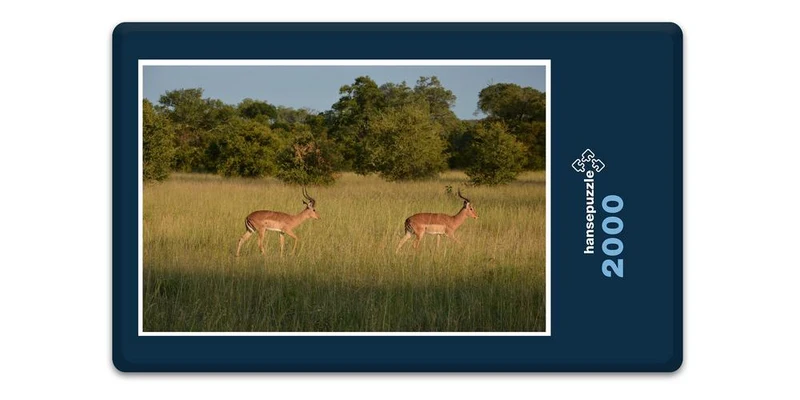 18298 Natur - Impala Puzzle