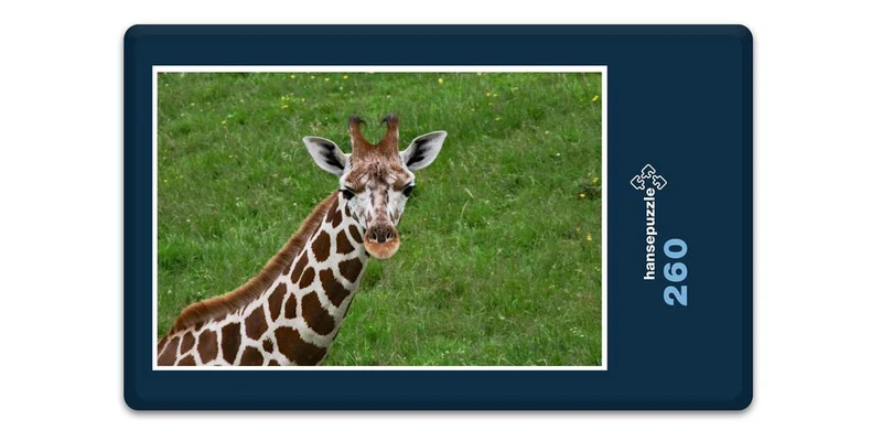 18296 Natur - Giraffenbaby Puzzle