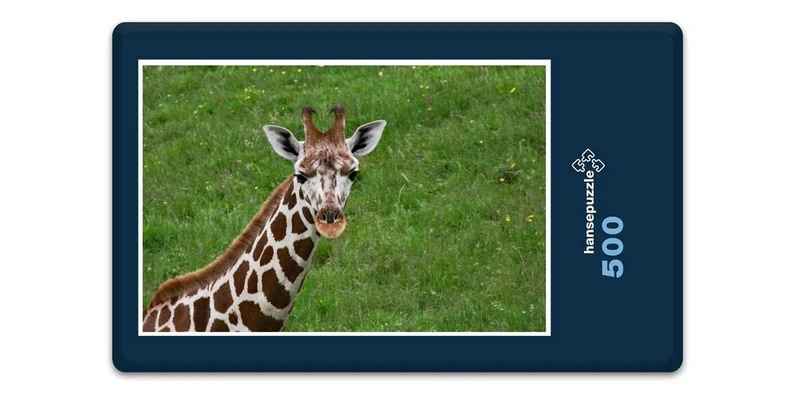 18296 Natur - Giraffenbaby Puzzle