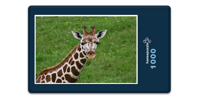 18296 Natur - Giraffenbaby Puzzle