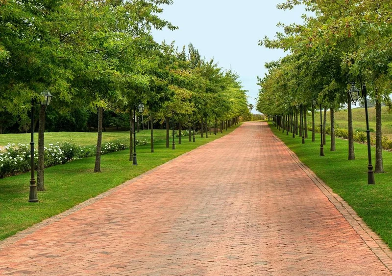 18288 Natur - Allee Puzzle