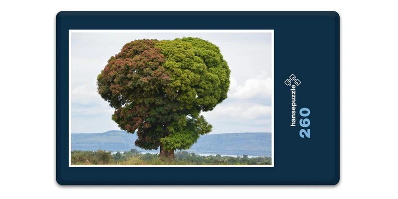 19975 Natur - Doppel-Baum Puzzle