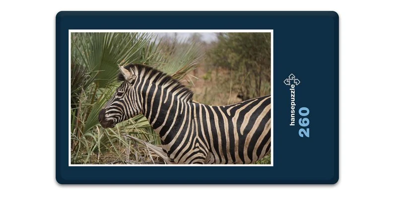 18282 Natur - Zebra Puzzle
