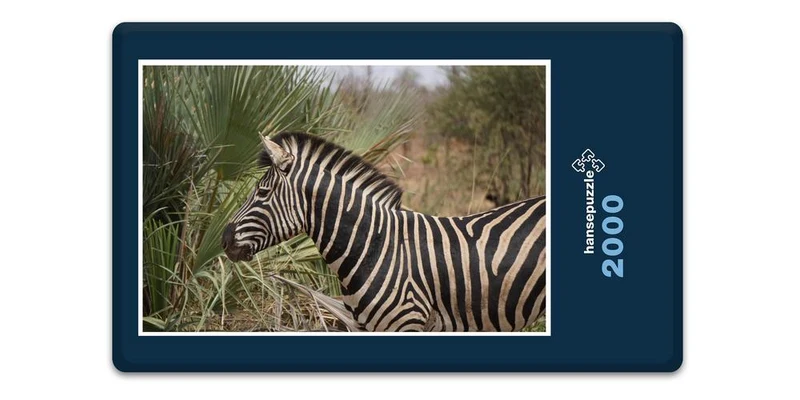 18282 Natur - Zebra Puzzle