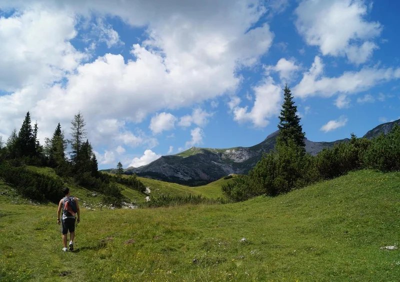 20142 Natur - Berg-Wanderung Puzzle
