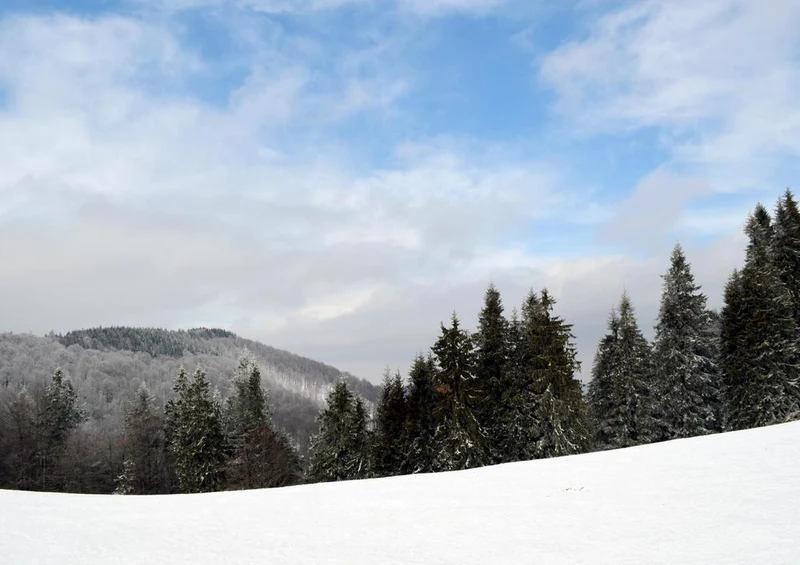 31215 Natur - Winter Puzzle