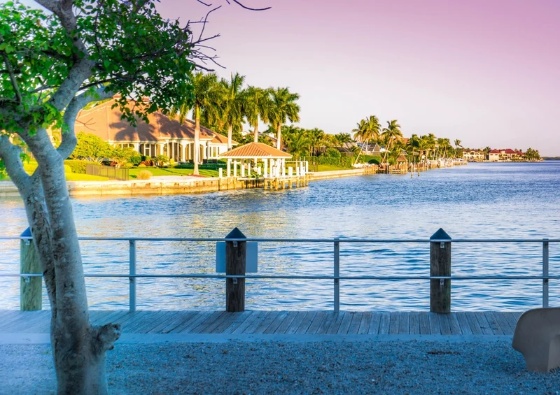 33622 Natur - Florida Puzzle