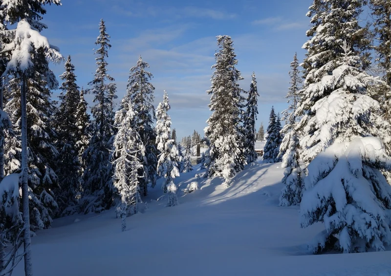 35122 Natur - Winter Puzzle