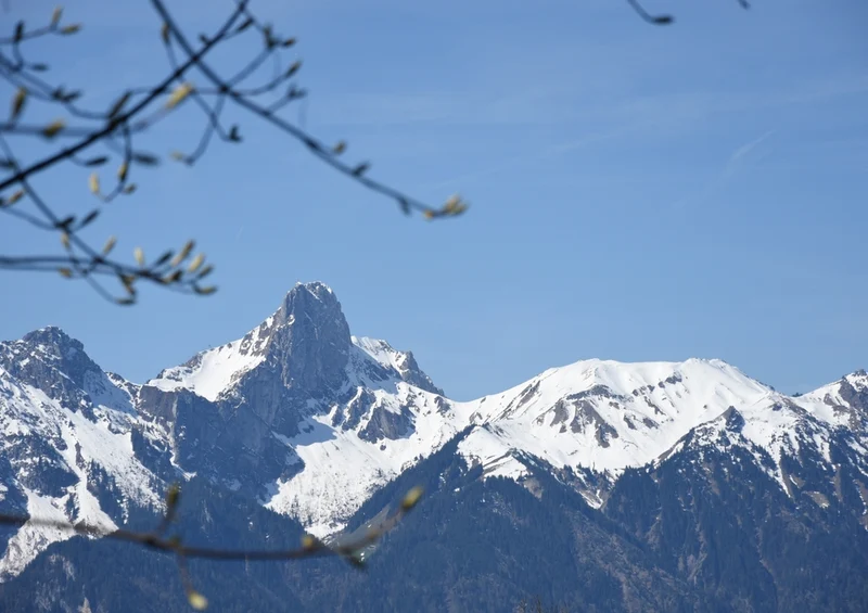 39303 Natur - Berge Puzzle