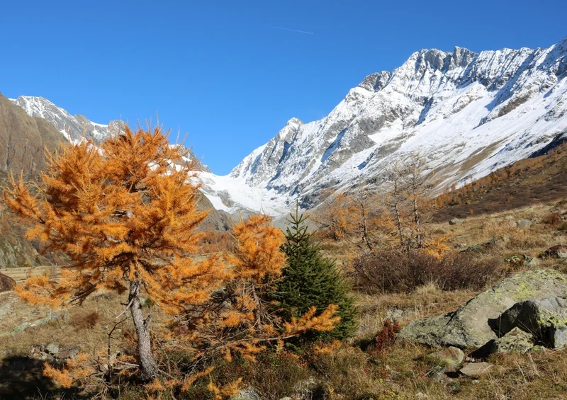 39298 Natur - Lötschental Puzzle