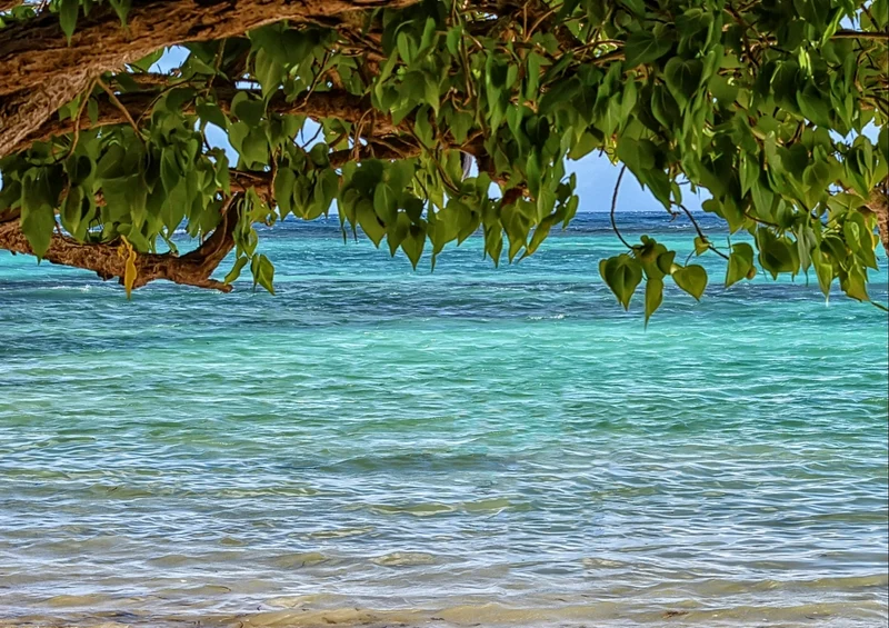 44492 Natur - Meer Puzzle