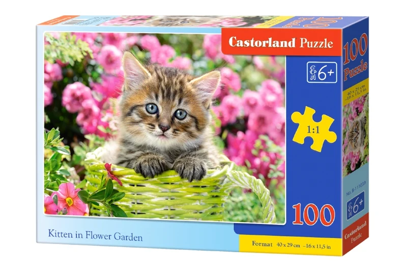 Kitten in FLower garden, 100pc