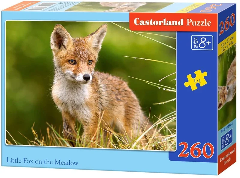 Little Fox On The Meadow