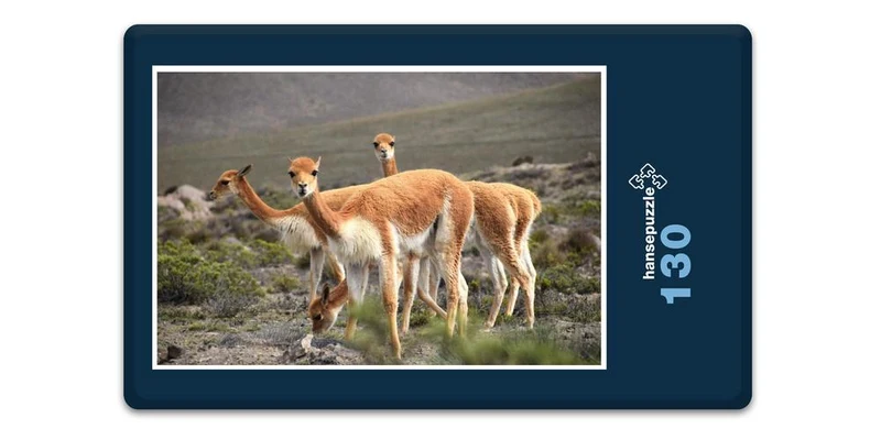 19805 Tierwelt - Herden-Tier Puzzle