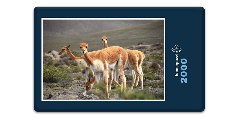 19805 Tierwelt - Herden-Tier Puzzle