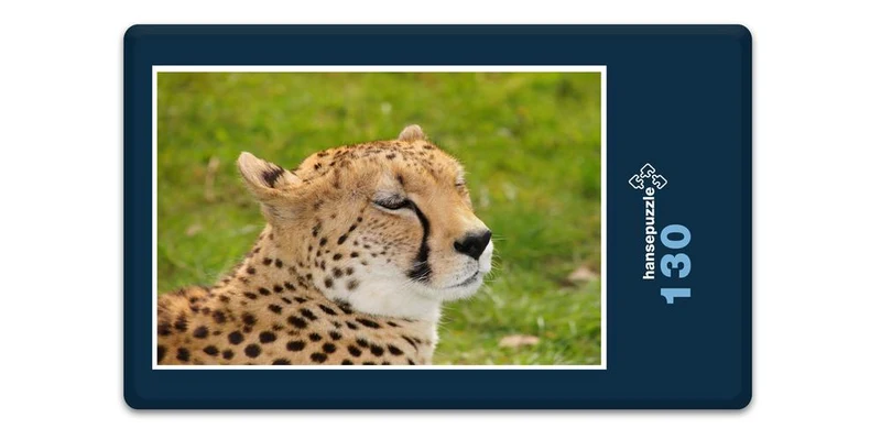 18281 Natur - Leopard Puzzle
