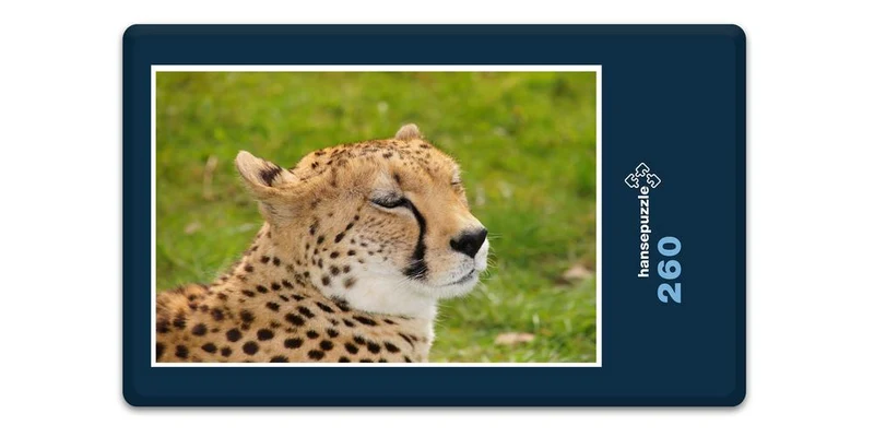 18281 Natur - Leopard Puzzle