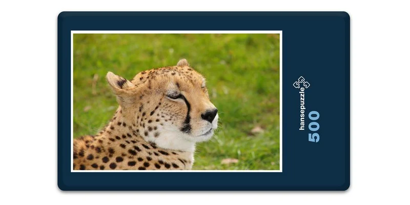 18281 Natur - Leopard Puzzle